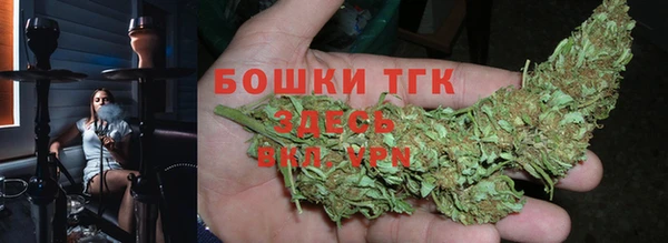 молекула духа Гусев