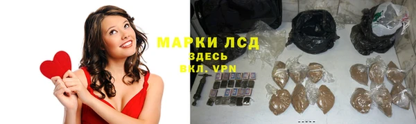 ПСИЛОЦИБИНОВЫЕ ГРИБЫ Гусиноозёрск