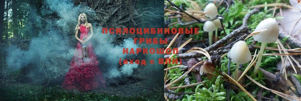 молекула духа Гусев
