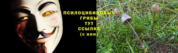 каннабис Гусь-Хрустальный