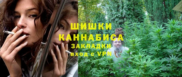молекула духа Гусев