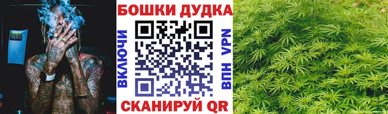 Купить где  Нытва  Марихуана сатива 